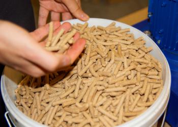 Гранулятор АгроМастер 1 (2,2 кВт)  Хит продаж!!